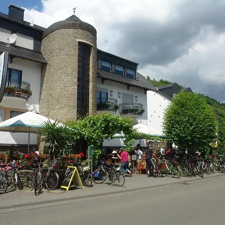 Zum Schleicher Kuckuck * 셰레크