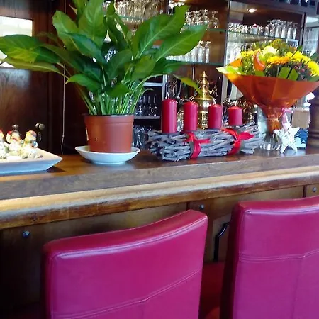 Zum Schleicher Kuckuck